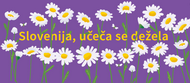 tvu