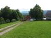 _104531_small.jpg