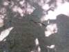 _144243_small.jpg