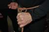 dsc_00022_small.jpg