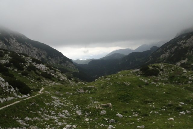 dsc03548.jpg