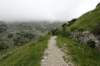 dsc03549_small.jpg