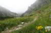 dsc03557_small.jpg