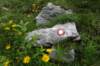 dsc03559_small.jpg