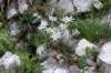 dsc03560_small.jpg