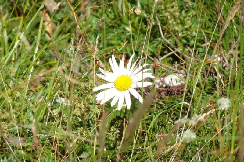 dsc03609.jpg