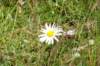 dsc03609_small.jpg