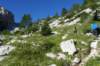 dsc03613_small.jpg