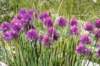 dsc03636_small.jpg