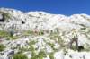 dsc03637_small.jpg