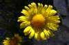 dsc03642_small.jpg