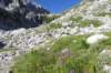 dsc03648_small.jpg