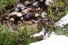 dsc03657_small.jpg