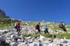 dsc03660_small.jpg