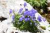 dsc03671_small.jpg