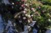 dsc03673_small.jpg