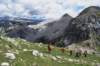 dsc03722_small.jpg