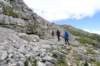dsc03737_small.jpg