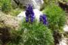 dsc03738_small.jpg