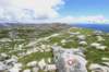 dsc03741_small.jpg