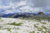 dsc03742_small.jpg