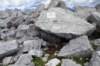 dsc03744_small.jpg