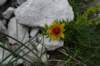 dsc03771_small.jpg