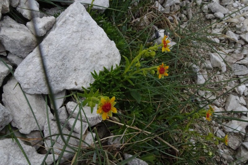 dsc03772.jpg