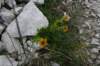 dsc03772_small.jpg