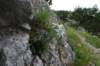 dsc03789_small.jpg