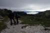 dsc03825_small.jpg