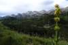 dsc03863_small.jpg