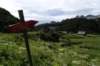 dsc03873_small.jpg