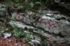 dsc03901_small.jpg