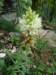 dsc07661_small.jpg
