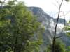 dsc07663_small.jpg