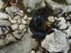 dsc07664_small.jpg