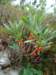 dsc07667_small.jpg