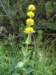 dsc07668_small.jpg