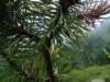 dsc07670_small.jpg