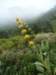 dsc07672_small.jpg