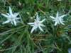 dsc07678_small.jpg