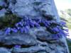 dsc07688_small.jpg