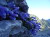 dsc07689_small.jpg