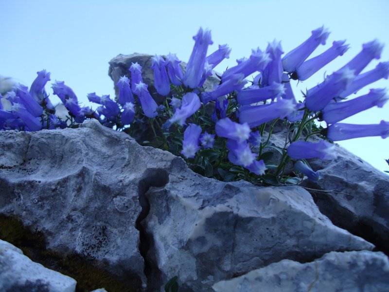 dsc07690.jpg