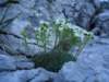 dsc07691_small.jpg