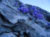 dsc07692_small.jpg