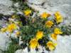 dsc07694_small.jpg