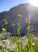 dsc07697_small.jpg