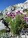 dsc07702_small.jpg